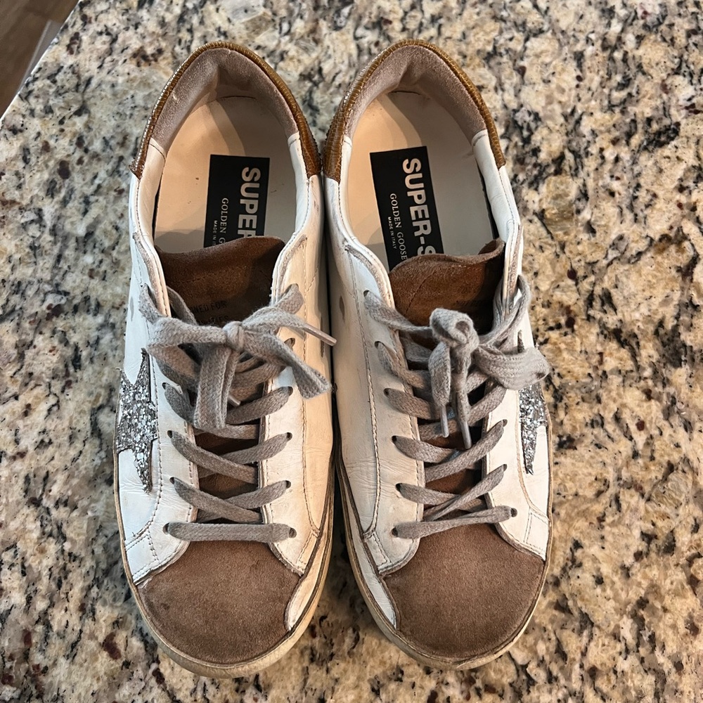 Brown Golden Goose